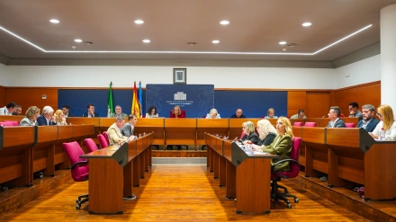 Motril impulsa su futuro con un nuevo barrio, más suelo industrial y una nueva ordenanza cívica