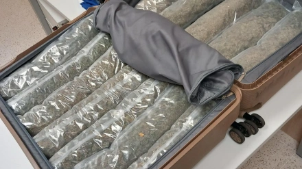 Los Mossos d'Esquadra han arrestado a un hombre de 33 años en La Jonquera (Alt Empordà) tras descubrir que transportaba más de seis kilogramos de marihuana ocultos en su maleta.