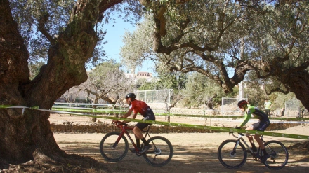 Ciclocrós entre olivos milenarios en la Ciudad del Ciclismo