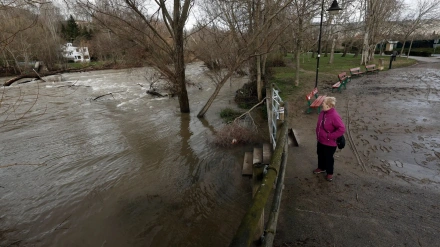 Imagen de archivo del crecimiento del caudal en el río Arga por lluvias en febrero de 2024.