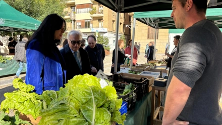 Mercado Agroecológico de Huesca