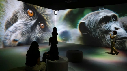 El arte también cura y transforma