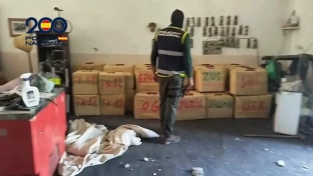 Alijo incautado en Jerez