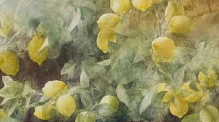 FUNDACIÓN PEDRO CANO