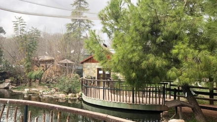 El zoo de Córdoba, en una imagen de archivo