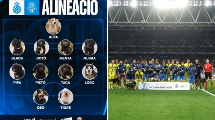 El precioso gesto del Espanyol con el Centro de Acogida de Animales de Compañía de Barcelona