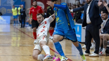 ElPozo Murcia sigue sumando victorias