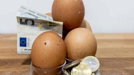 Sube el precio de los huevos