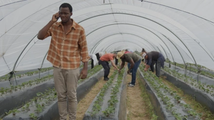 Frame de la película 'Te protegerán mis alas'