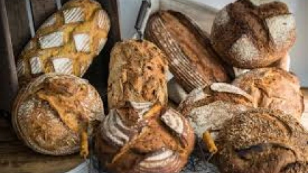 Diferentes tipos de panes