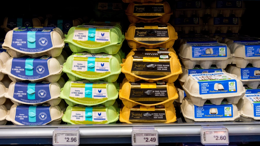 Cajas de huevos en un supermercado