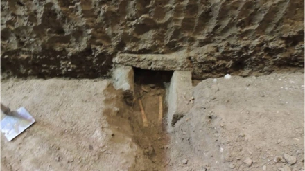 Caballero San Pedro el Viejo