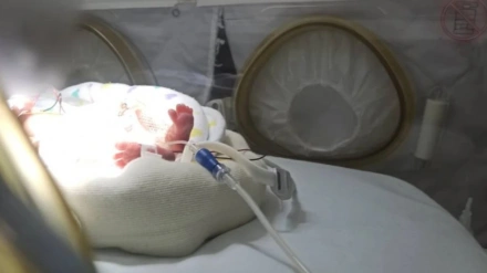 Sofía en la incubadora