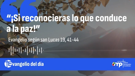 EVANGELIO DEL DÍA 20 NOV