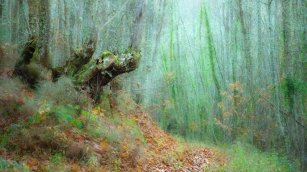 El Soto de Villar de los Barrios (León) salta a la fama internacional de la mano de National Geographic