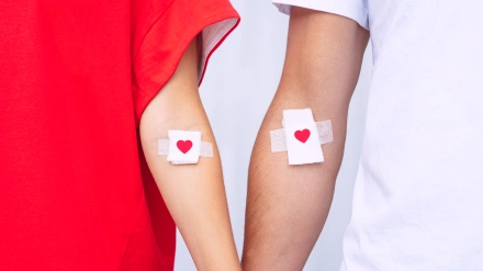Blood donation. Blood donors with bandage after giving blood. High quality photo