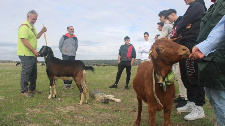 Javier de los Nietos, biólogo y profesor de la Escuela de Pastores, ha contado en COPE en qué consiste el proyecto