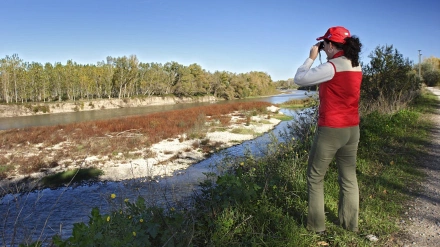 Reserva natural de los Sotos de Alfaro