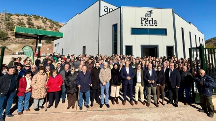 La Junta de Andalucía impulsa la modernización del olivar en Jaén para reforzar su calidad y rentabilidad