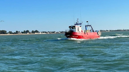 Barco de arrastre de Sanlúcar de Barrameda (Cádiz)
