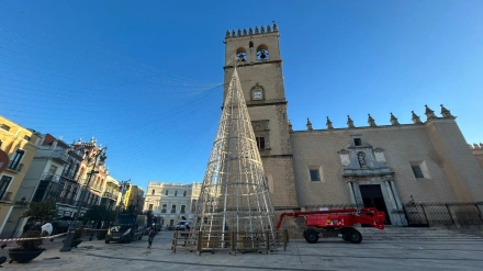 Operarios instalando en nuevo árbol ante la SI Catedral de San Juan Bautista.