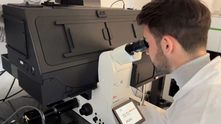 (Foto de ARCHIVO)Esta tecnología ya se utiliza para estudiar tumores cerebralesREMITIDA / HANDOUT por FUNDACIÓN LA CAIXAFotografía remitida a medios de comunicación exclusivamente para ilustrar la noticia a la que hace referencia la imagen, y citando la procedencia de la imagen en la firma31/1/2024