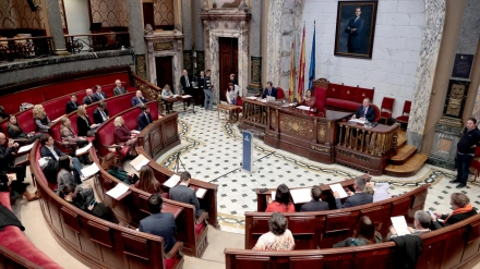 PLENO AYUNTAMIENTO VALENCIA