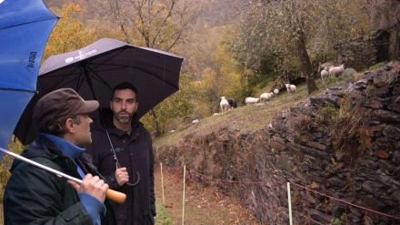 El diputado provincial Daniel García inspecciona uno de los vallados instalados con ayudas del programa 'O que non arde'