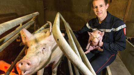 BOMBEROS VOLUNTARIOS EN ZONAS RURALES