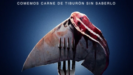 Portada del documental premiado en el festival de cine de San Sebastián