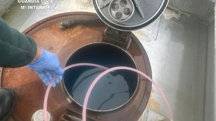 20251205 (VENTA FRAUDULENTA GASOLEO) (2)