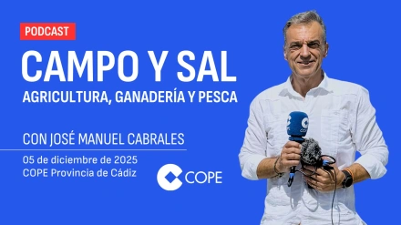 CAMPO Y SAL | 05 DIC 2025