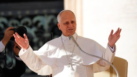 Papa audiencia jubilar