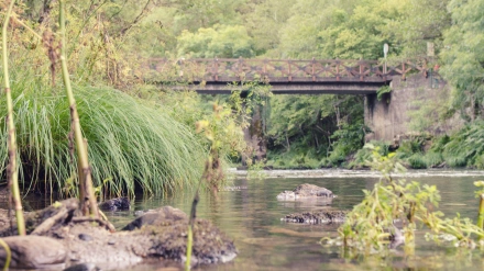 Foto de archivo de una zona de las Fragas do Eume