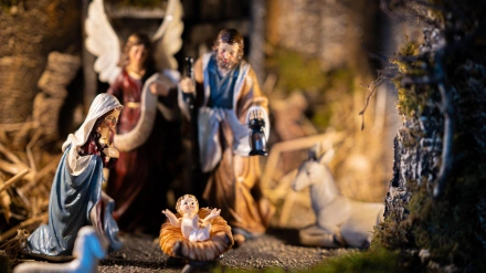 La Navidad 'contranatural' que nos harta: el aviso sobre el consumo que ya se vende en el súper