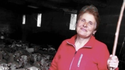 Elvira atiende casi 200 ovejas en Ourense