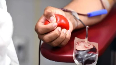El Banco de Sangre impulsa la donación en Navidad ante una previsión de más de 700 transfusiones