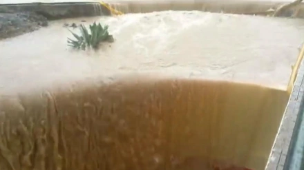 Entrevista Juan Guerra, portavoz de la asociación de vecinos de Reina Mercedes