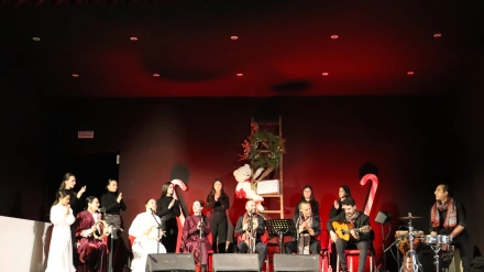Espectáculo Flamenco para la Navidad
