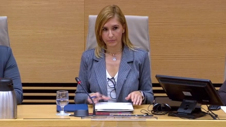 Salomé Pradas en la Comisión del Congreso