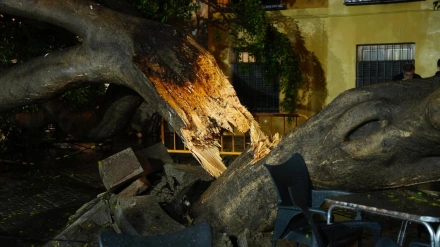 Sevilla, la provincia andaluza que más incidencias registra este lunes con una treintena, la mayoría por anegaciones