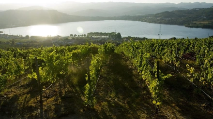 El mejor blanco de Galicia de 2025