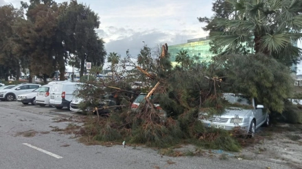 Efectos de un tornado durante la madrugada de este martes en Mijas
