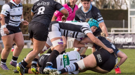 El Colina Clinic El Salvador ante la posibilidad de sumar un nuevo título