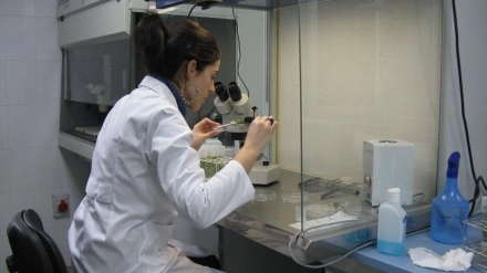 (Foto de ARCHIVO)Investigación, Iriaf.REMITIDA / HANDOUT por JCCMFotografía remitida a medios de comunicación exclusivamente para ilustrar la noticia a la que hace referencia la imagen, y citando la procedencia de la imagen en la firma12/12/2025