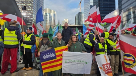 Jóvenes agricultores de Baleares protestan en Bruselas por los "recortes" de la nueva PACREMITIDA / HANDOUT por ASAJA BALEARESFotografía remitida a medios de comunicación exclusivamente para ilustrar la noticia a la que hace referencia la imagen, y citando la procedencia de la imagen en la firma18/12/2025