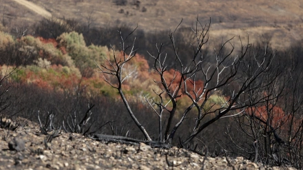 Paisaje en Las Médulas tras los incendios de este verano en León