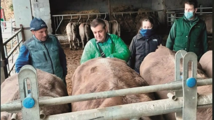 Víctor Ara veterinario rural en Jaca