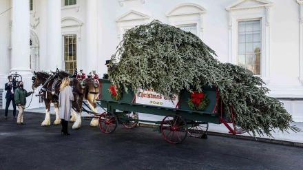 Decoración en la Casa Blanca