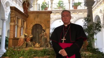 Rico Pavés ante el nacimiento del Obispado